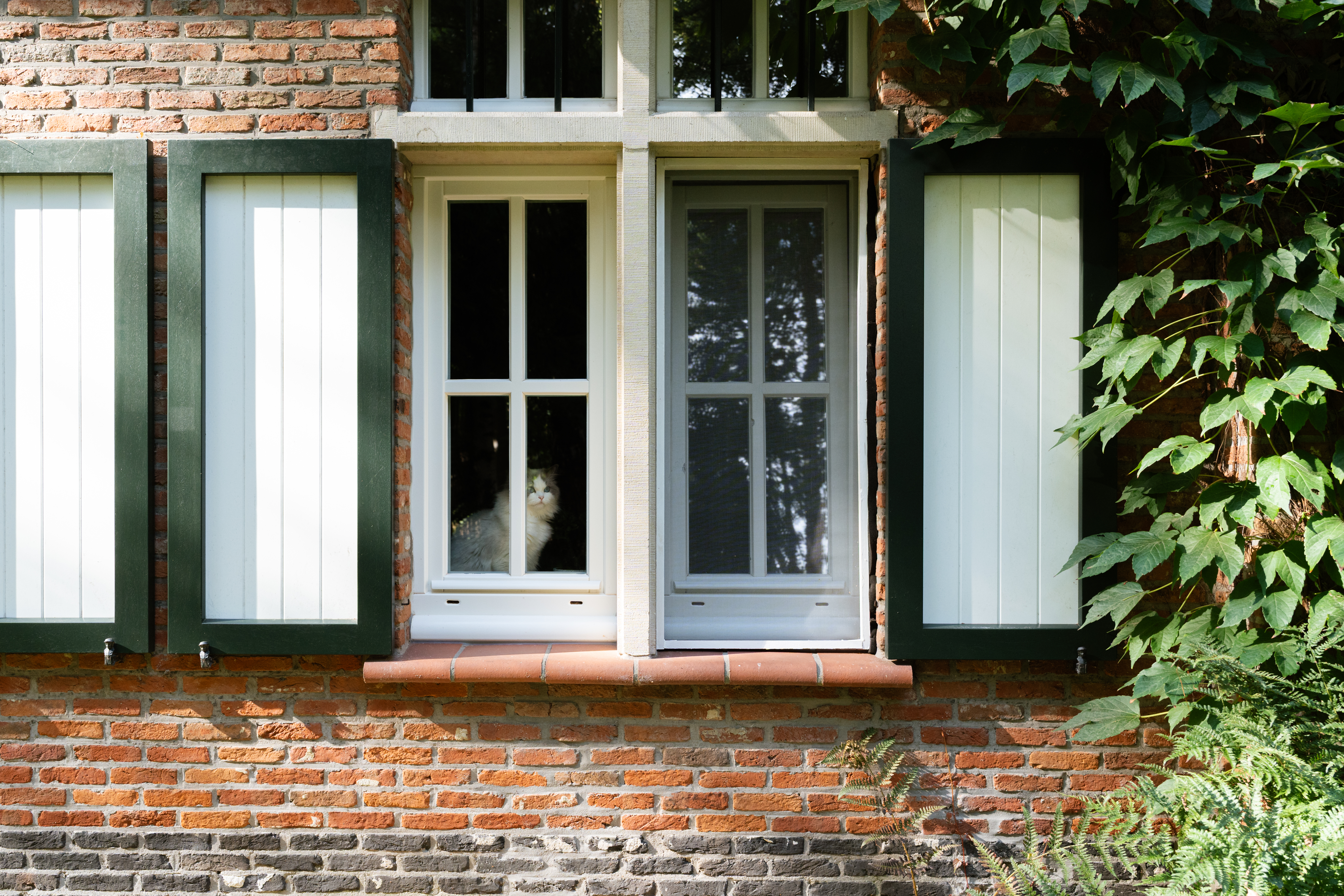 De gerenoveerde, landelijke bakstenen gevel van een vrijstaande woning heeft twee witte ramen met donkere luiken; achter één raam zit een kat.