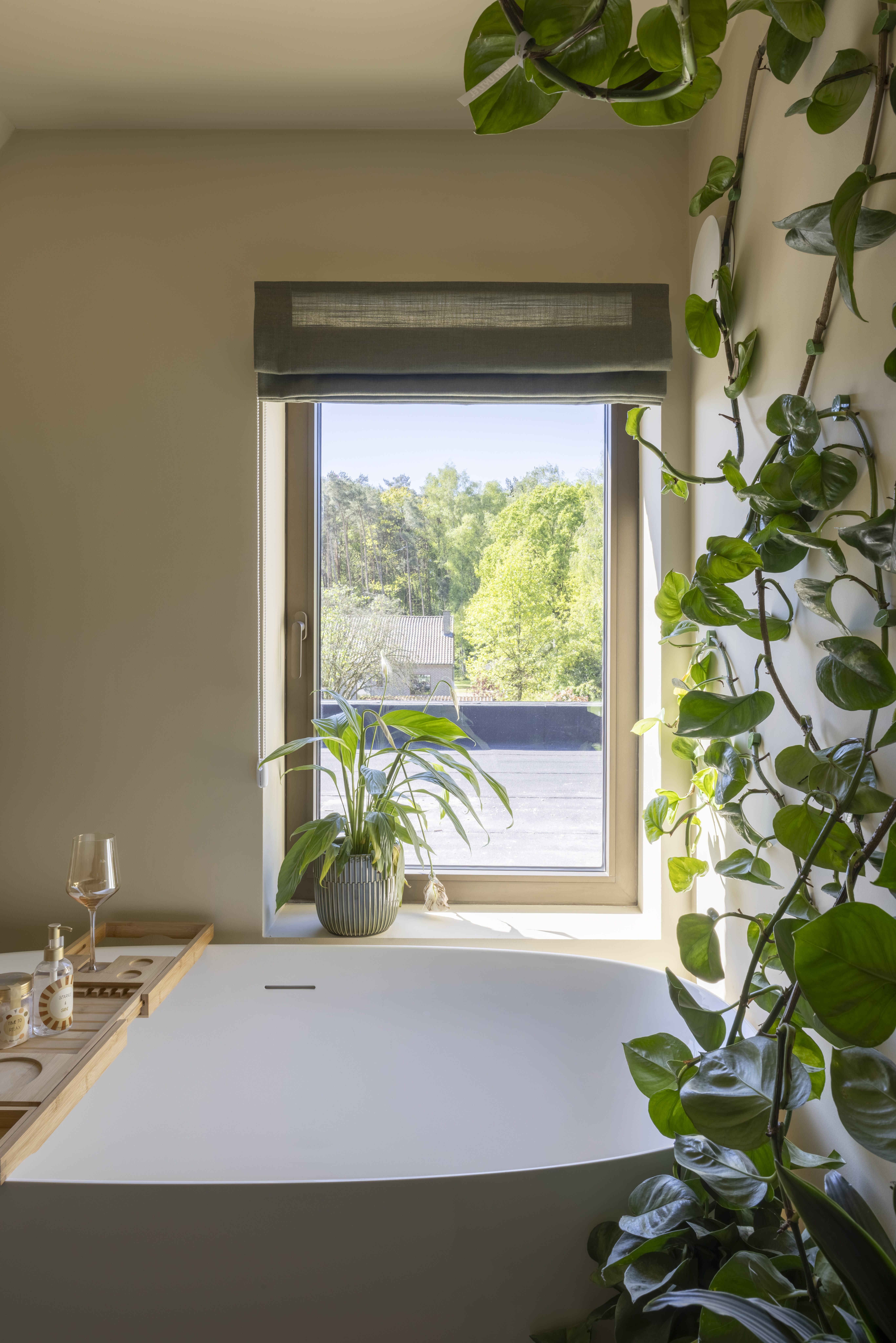 Draai-kipraam Komfort EVO small met geanodiseerd bronzen raamprofiel in een lichte ruimte, omringd door planten en met zicht op het groen.