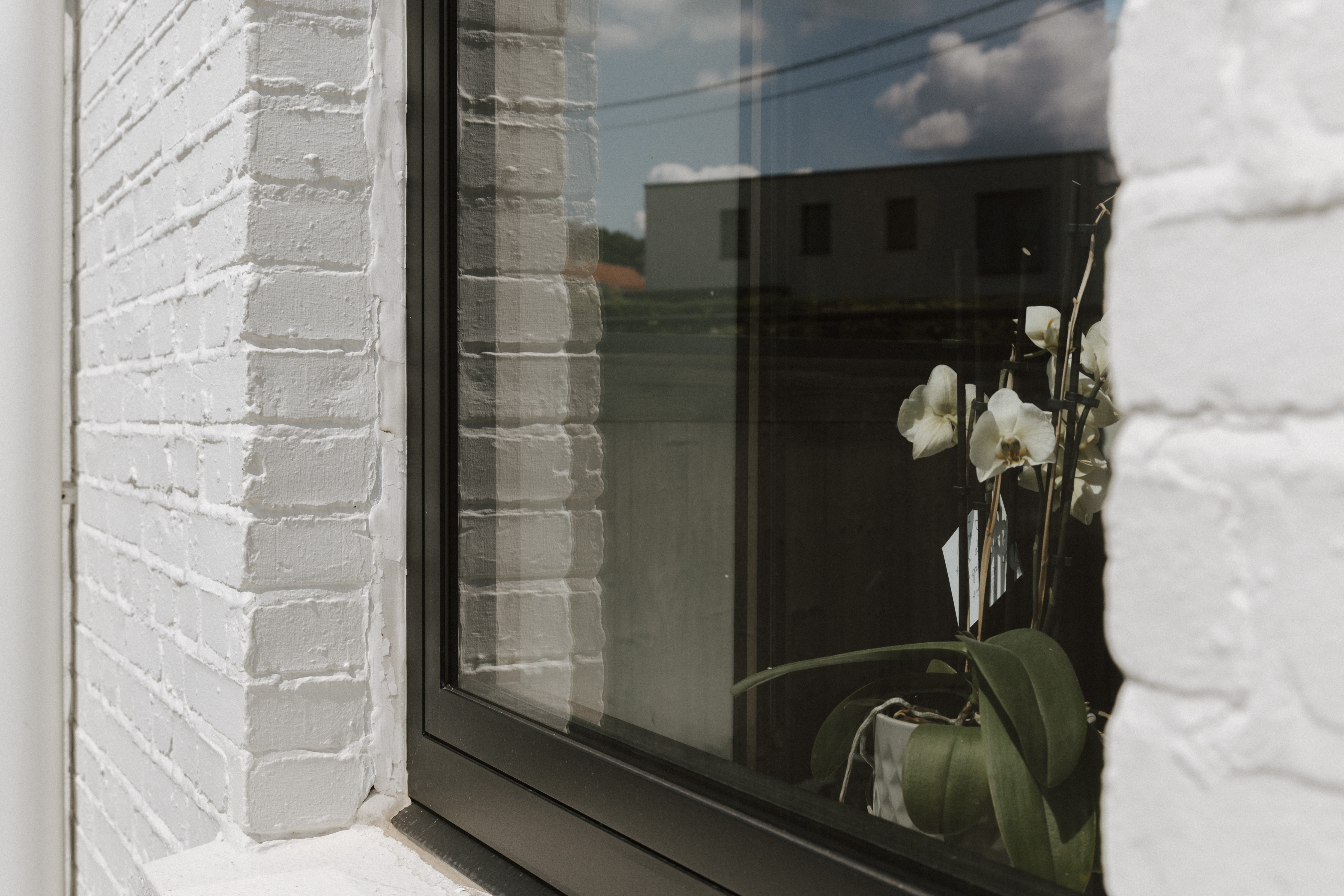 Diepzwart draai-kipraam in een witte bakstenen gevel, met een orchidee aan de binnenzijde en weerspiegelingen van de omgeving in het glas.