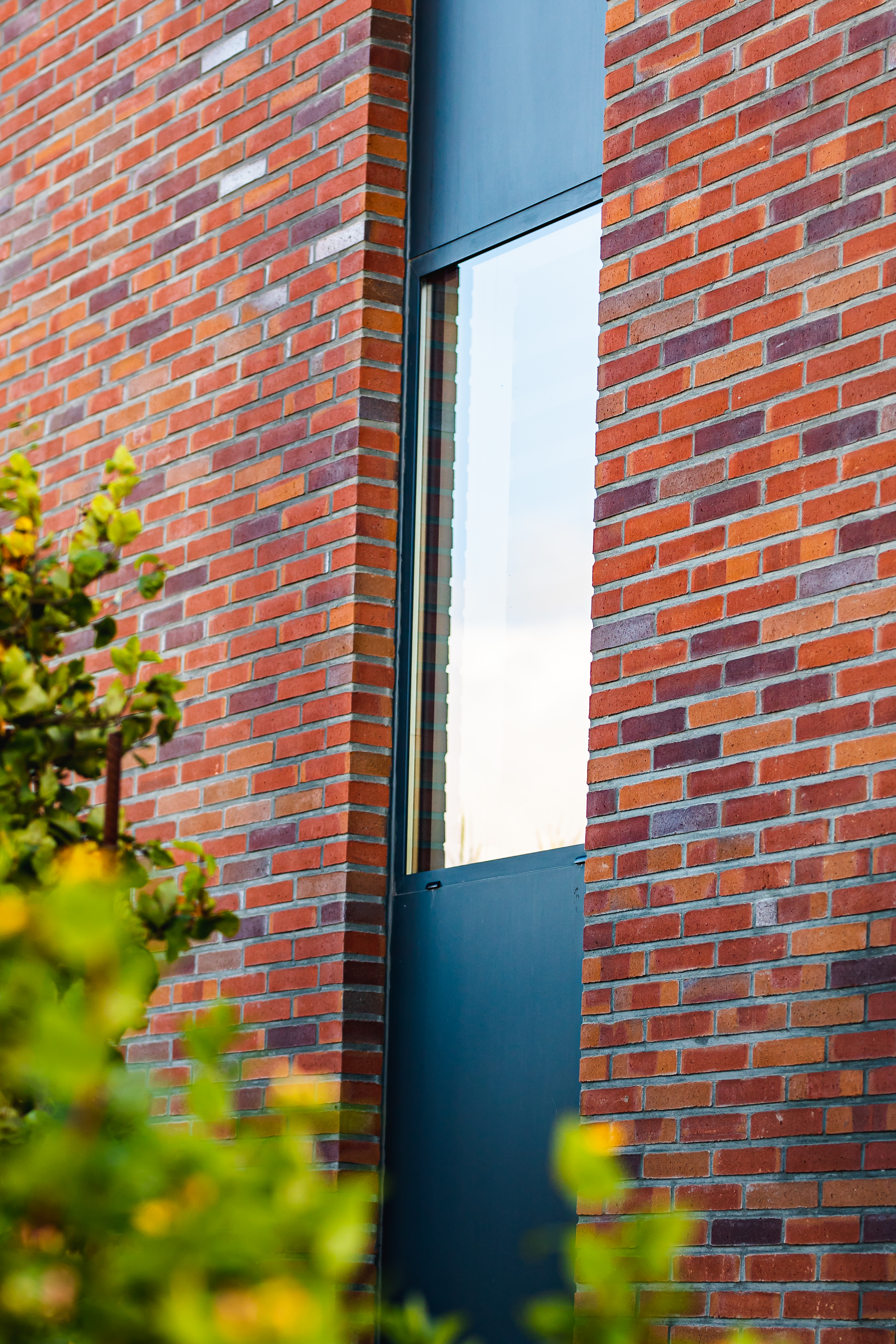 Hoge antracietgrijze deur met glazen bovenpaneel in een rode bakstenen gevel van een moderne vrijstaande nieuwbouwwoning, gedeeltelijk omgeven door groen.