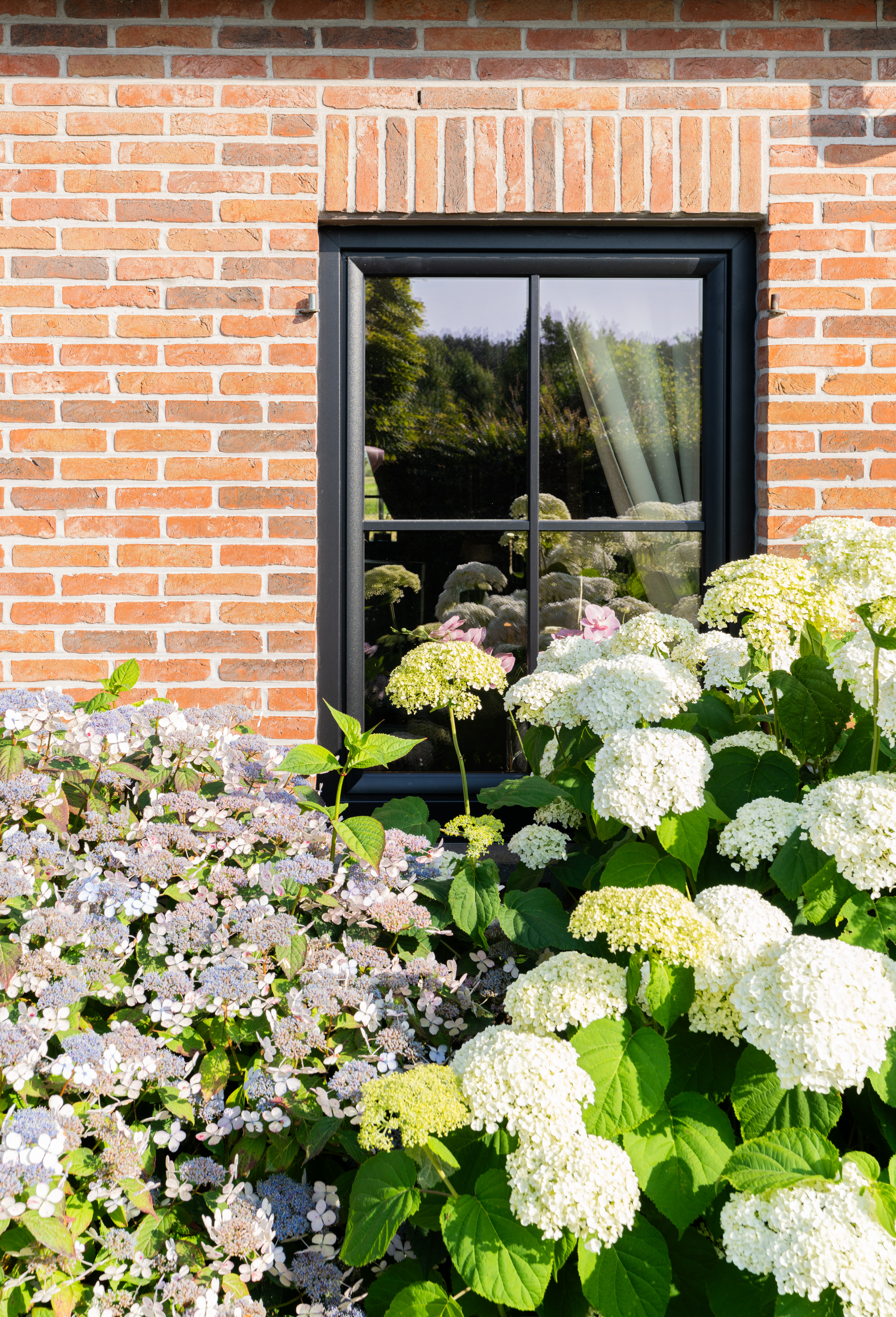 Zwart mat draai-kipraam in een rode bakstenen gevel, gedeeltelijk verborgen achter bloeiende hortensia’s en andere tuinplanten.
