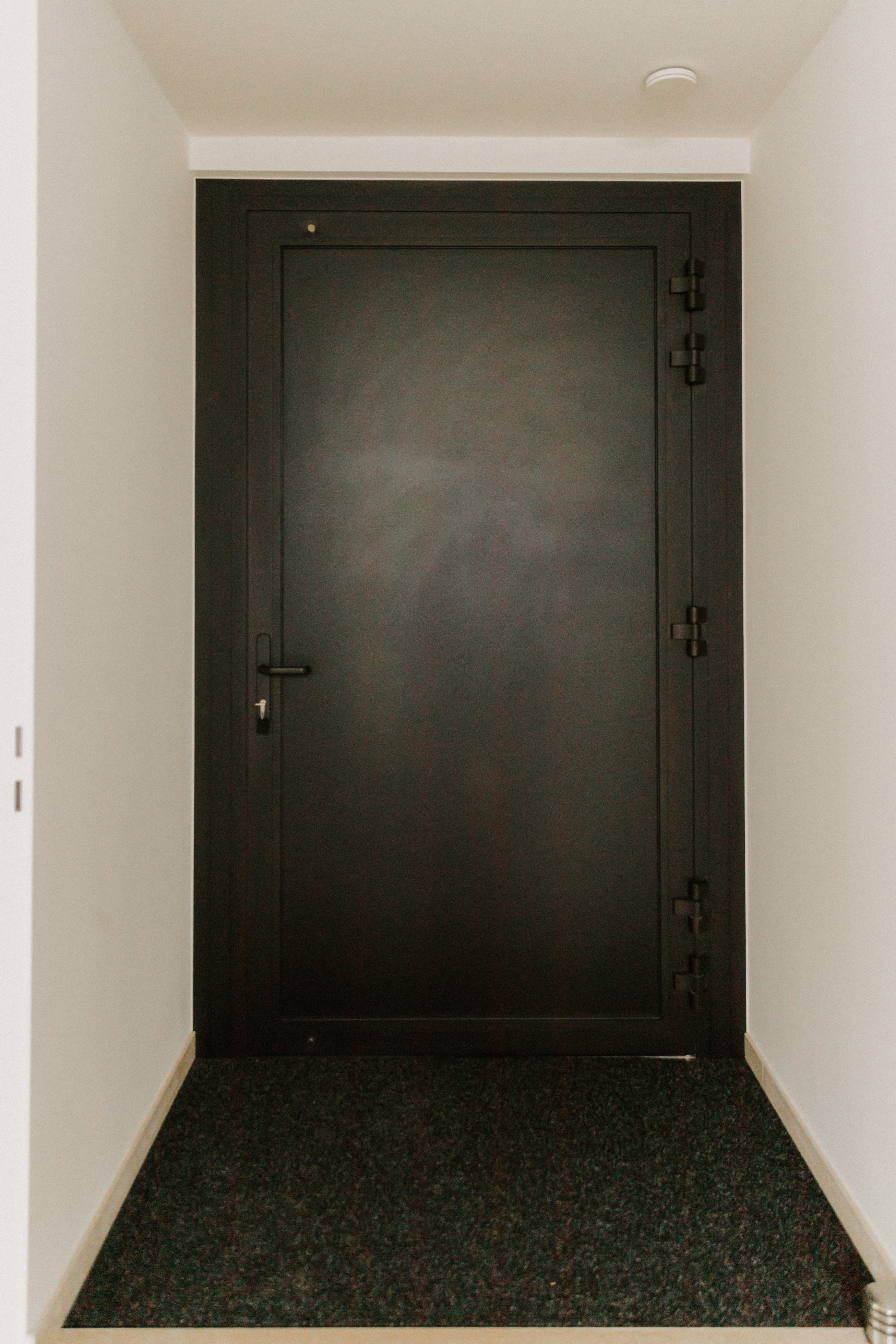 Moderne zwarte aluminium-paneeldeur in een lichte inkomhal, met een karaktervol modern ontwerp, donker oppervlak en zichtbaar deurbeslag.